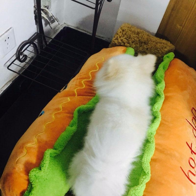 Cama para Pets - Hot Dog